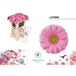 Germini Loveme Water