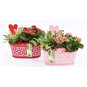 Zink ovaal hart decor 18x10cm