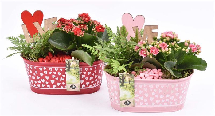 <h4>Zink ovaal hart decor 18x10cm</h4>