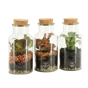 41547: Treasure time arrangement