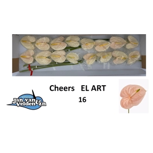 ANTH A CHEERS EL ART