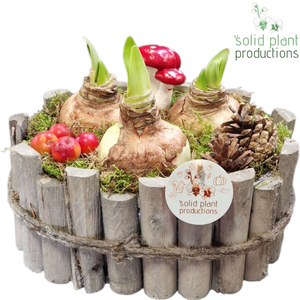 AH004 Amaryllis Bologna Large Grey