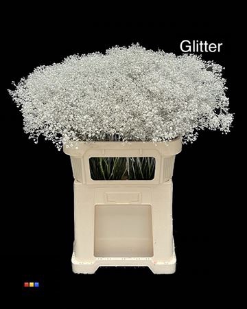 Gyps Million Star Platina + Glit Bio