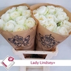 Rosa Garden Lady Lindsey