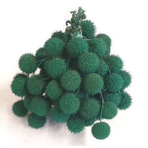 Small ball per bunch in poly Turquoise