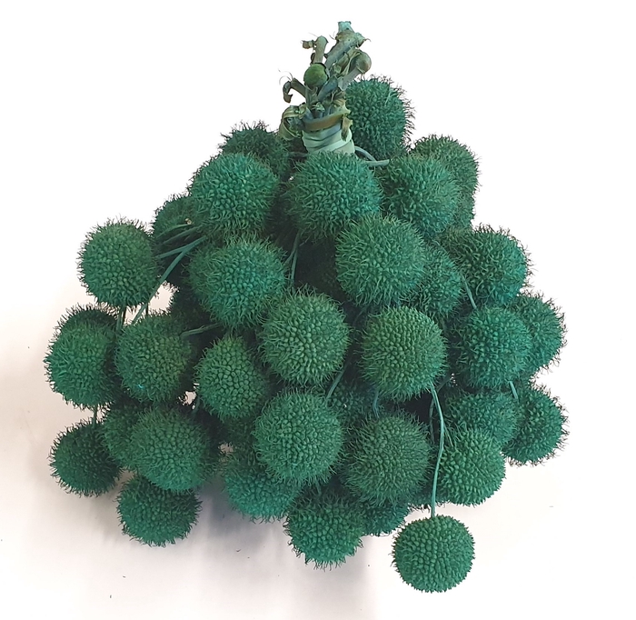 Small ball per bunch in poly Turquoise