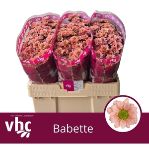 Chr S Babette 1000gr