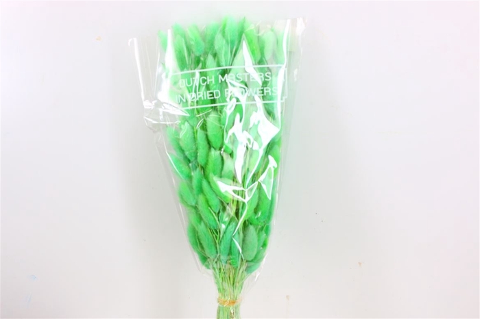 <h4>Dried Lagurus Bl Mint Green Bunch</h4>