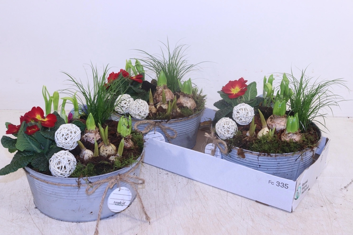 <h4>ARR TUINPLANTEN</h4>