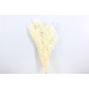 Pres Ming Fern Bleached Bunch