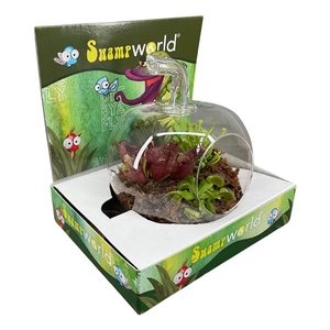 Terrarium appel glas in display