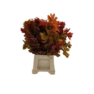 Eikenblad Gestab. Autumn