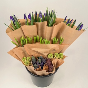 Bq mono Spring mix iris,narcis,hyacint