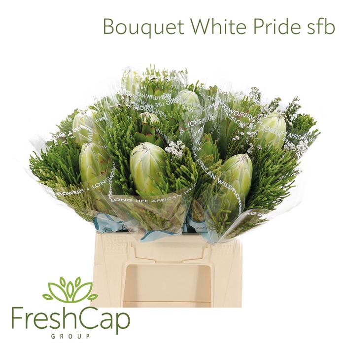 <h4>Bouquet White Pride Sfb</h4>