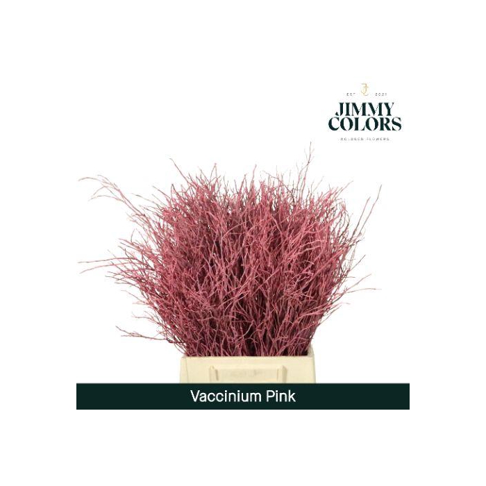 <h4>Vaccinium L50 Klbh. Roze</h4>