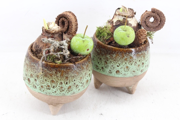 <h4>arr4 Amaryllis MB - Luxe bolpotje op pootjes x6</h4>