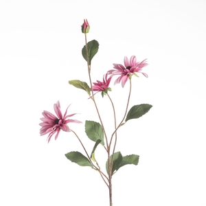 AF Rudbeckia L83cm Pink