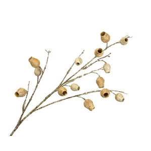 Eucalyptus Berry Beige