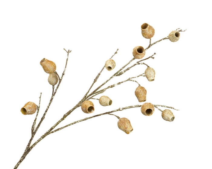 <h4>Eucalyptus Berry Beige</h4>