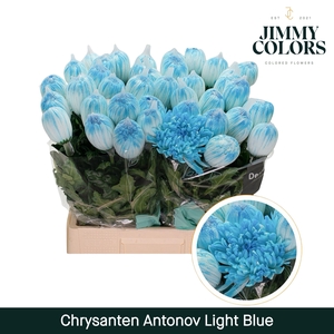 Chr G Antonov klbh Light Blue