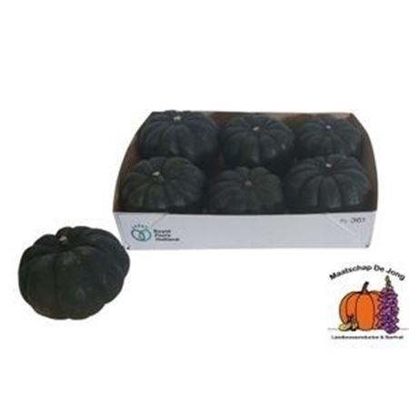 <h4>Sier Cuc P Hulk Green X6</h4>