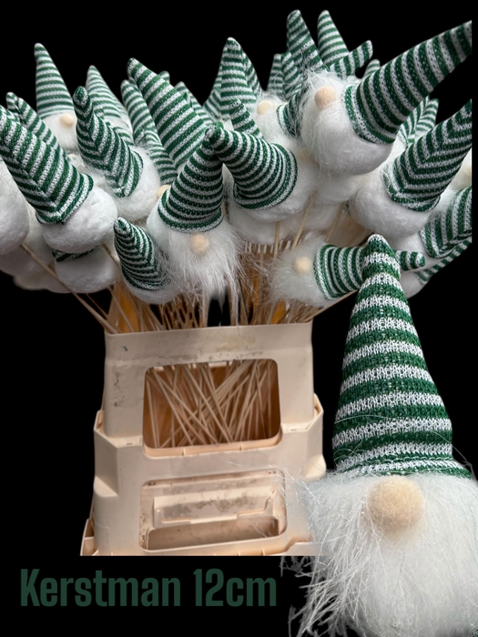 <h4>HUIS EN TUINDECO H%</h4>