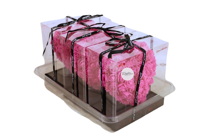 <h4>Arrangementen Potroos H%</h4>