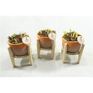 3440 KER OP HOUT POOTJE