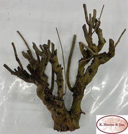 <h4>Housses 52x35x10cm OPP40 Kraftline rose</h4>