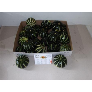 Cucurbita Ov Groen
