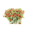 GOMPHRENA RED