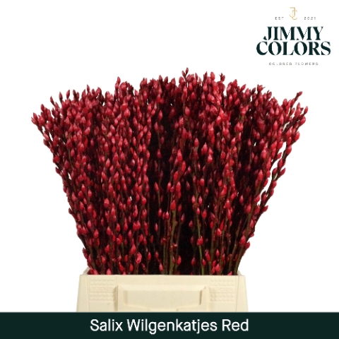 <h4>Salix Katjes L50 Klbh. Rood</h4>