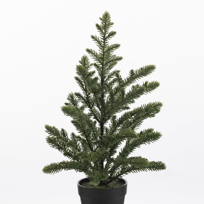<h4>Pine Tree in pot Green XM660119GRN</h4>