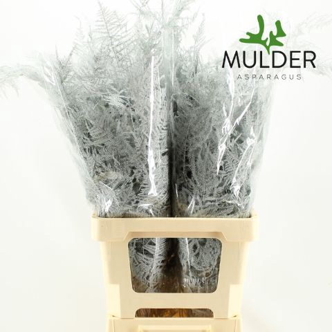 <h4>Snijgroen Wit Extra Veren Water</h4>