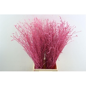 Berk 70cm Gl Roze Pbs