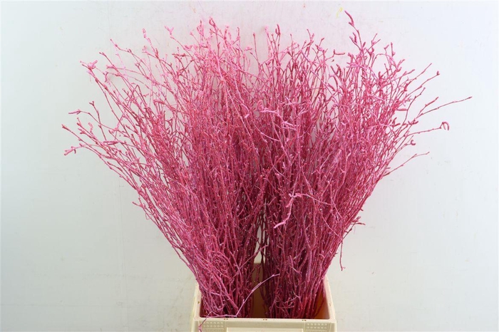 <h4>Berk 70cm Gl Roze Pbs</h4>