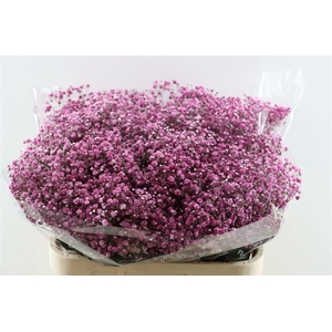 Gyps Grof Burgundy Glitter