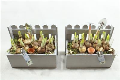 <h4>21218 HOUT TUIN SET</h4>