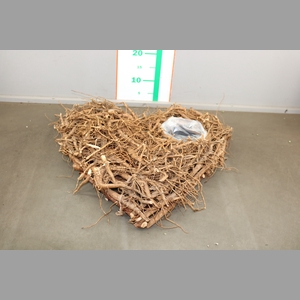 ROOT HEART+PL. NAT. 50CM