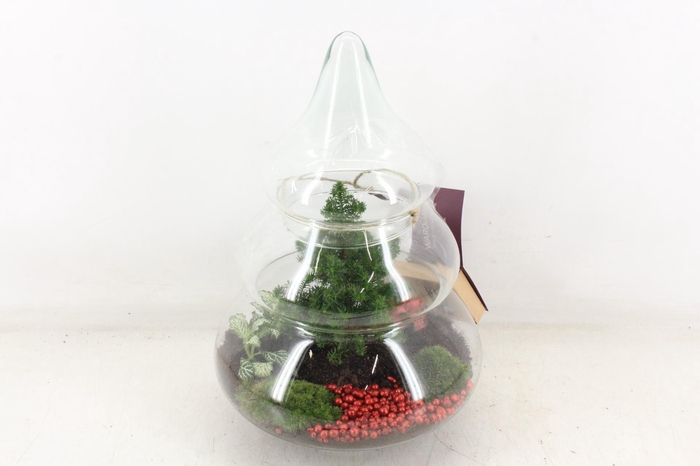 <h4>arr3 WR - Glas christmas tree LED</h4>