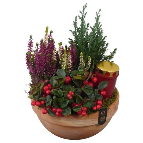 <h4>PTAH3081 Arrangement Allerheiligen in terracotta schaal</h4>