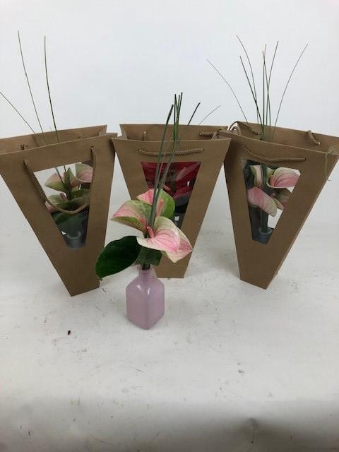 <h4>Evanty vaas 5 bloem in tas Evanty vaas 5 bloem in tas</h4>