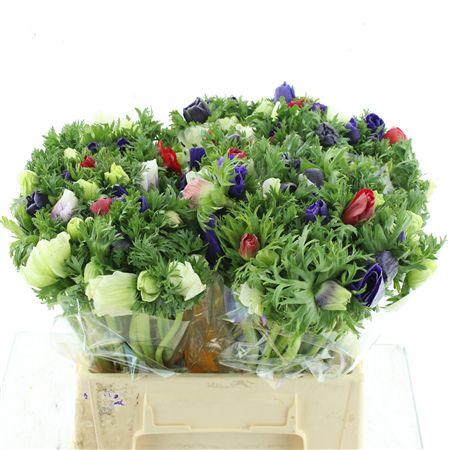 <h4>Anem Co Mar Mix</h4>