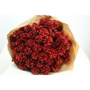 Droog Denneappel Rood X40