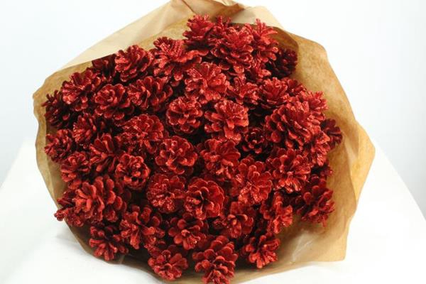 <h4>Droog Denneappel Rood X40</h4>