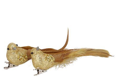<h4>Deco Shine Bird Clip Cozy Gold 16cm Per 2</h4>