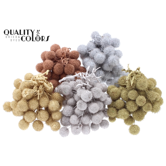 <h4>Small ball per bunch in poly Metallic Mix</h4>