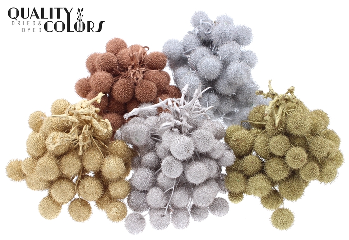 Small ball per bunch in poly Metallic Mix