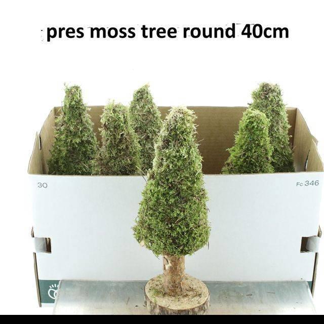 <h4>MOSSEN OV H%</h4>