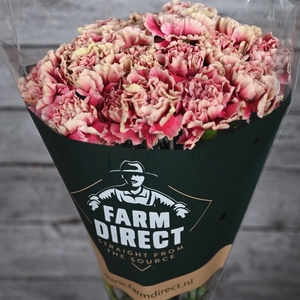 DI ST MERLETTO CRIMSON